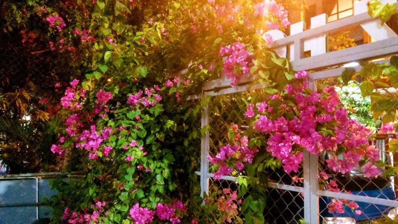 Lapaz Homestay Đà Nẵng Kültér fotó